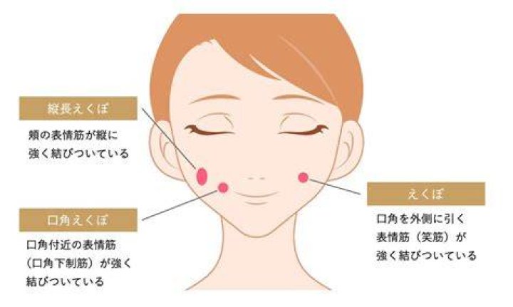 インディアンえくぼの種類と特徴