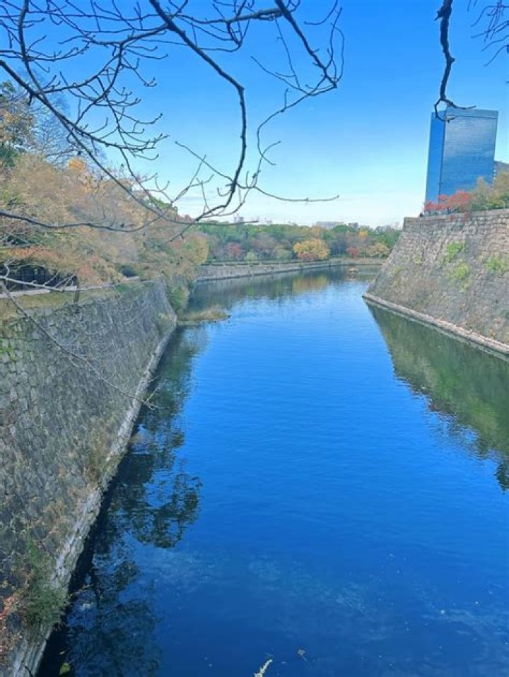 女装・公園・ハッテン場：大阪のコミュニティスポットを徹底解説