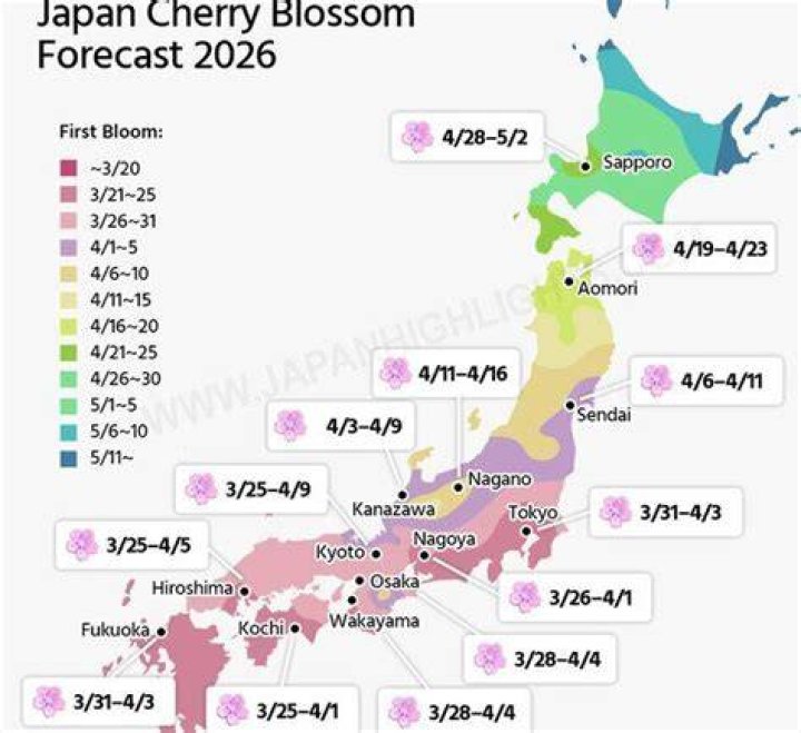 大阪の花火大会2026年完全ガイド【今日・今週末の開催情報まとめ】